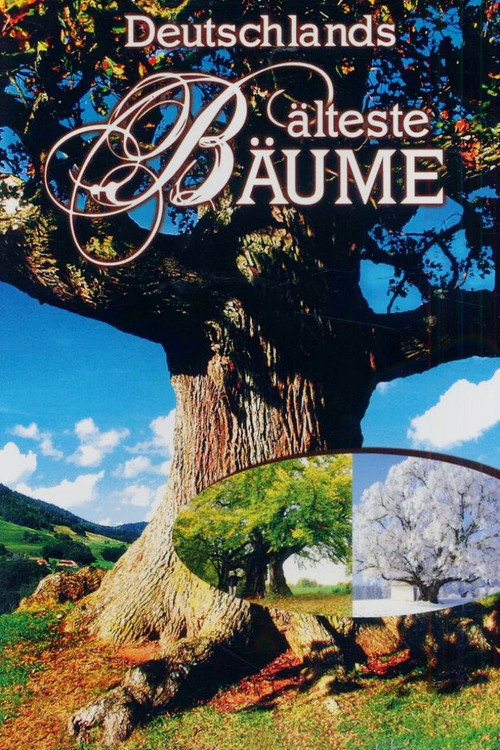 Series poster for Deutschlands älteste Bäume (2008)