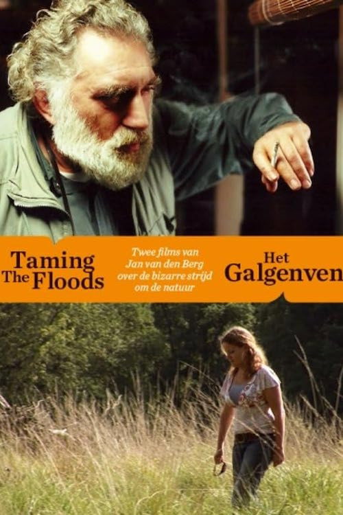 Movie poster for Taming the Floods (1999)