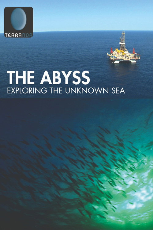 Movie poster for The Abyss, Exploring the Unknown Sea (2015)