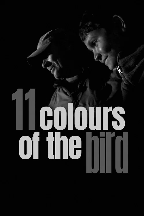 Movie poster for 11 Colours of the Bird (2020)