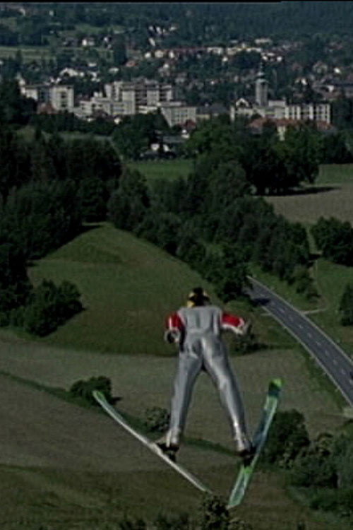 Movie poster for Peterka: Year of Decision (2003)