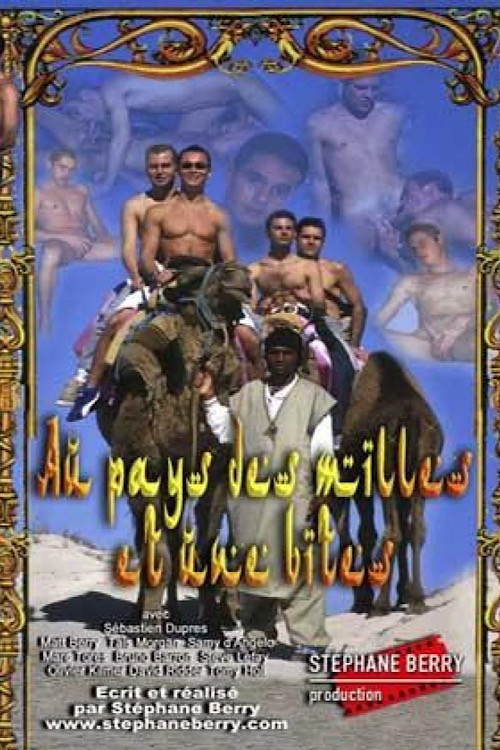 Movie poster for Au pays des mille et une bites (2002)