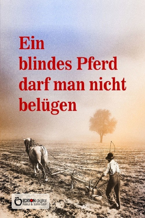 Movie poster for Ein blindes Pferd darf man nicht belügen (1992)