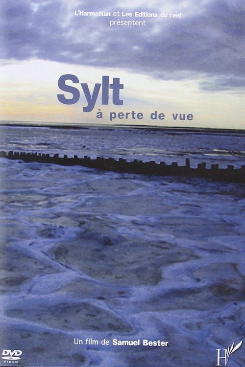 Movie poster for Sylt - The Land Where the Ground Shrinks (2008)