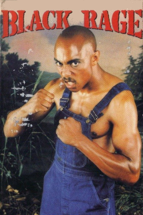 Movie poster for Catch the Black Sunshine (1972)