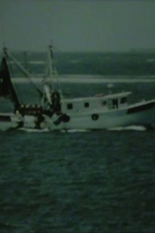 Movie poster for Shrimp Boat Log (2006)