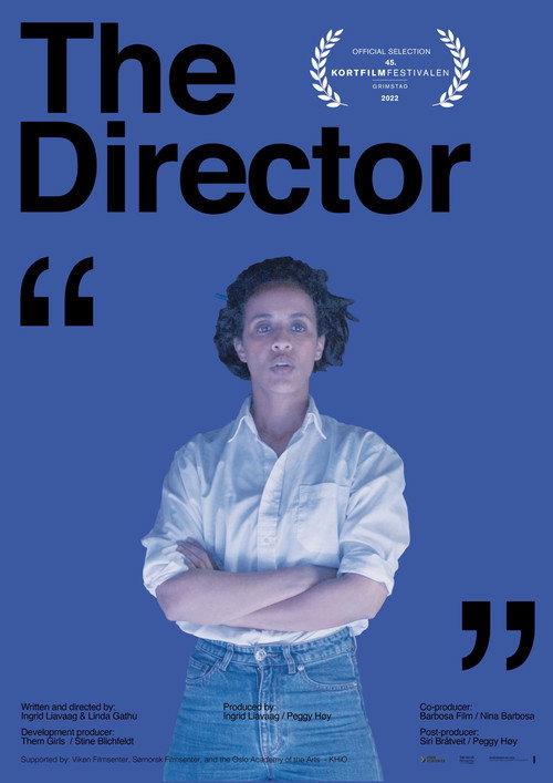 Movie poster for The Director (2022)