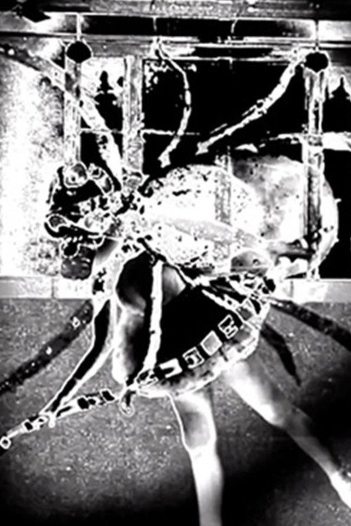 Movie poster for Nine Inch Nails: Came Back Haunted (2013)