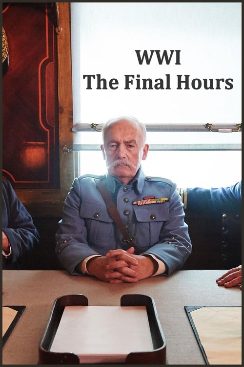 Movie poster for WW1: The Final Hours (2018)