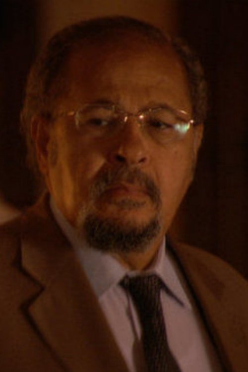 Hanaa Abdel Fattah profile