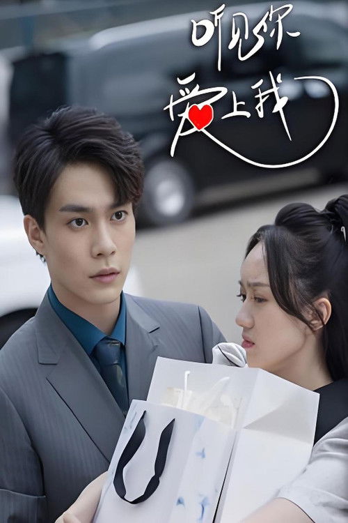 听见你，爱上我 poster