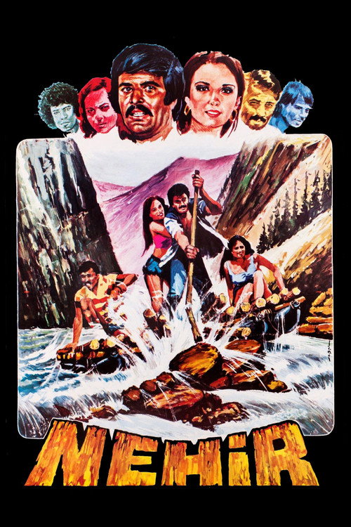Movie poster for The River (1977)