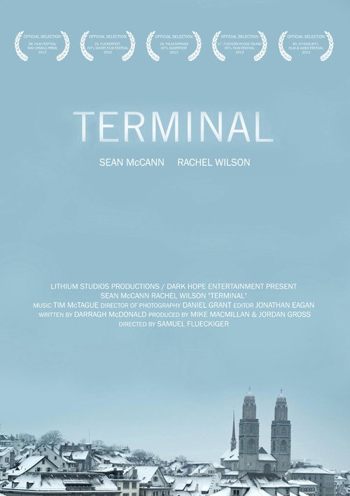 Movie poster for Terminal (2013)