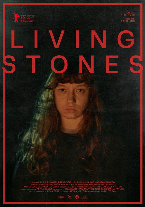 Movie poster for Living Stones (2025)