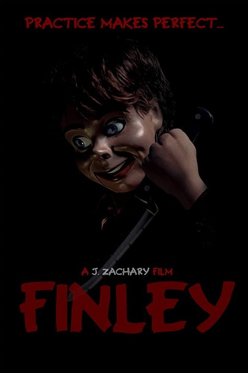 Movie poster for Finley (2019)