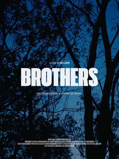 Movie poster for Brothers (2025)