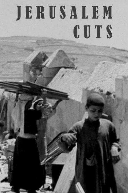 Movie poster for Jerusalem Cuts (2008)