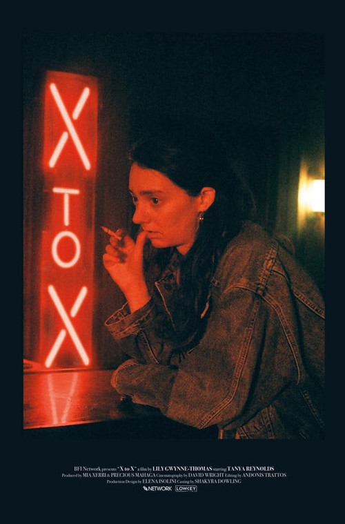 Movie poster for X to X (2023)