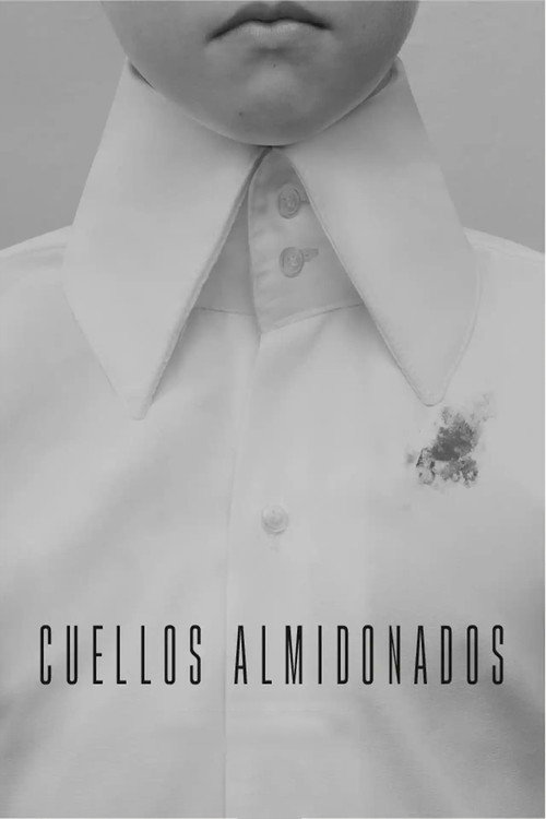 Movie poster for Starched Collars (2021)