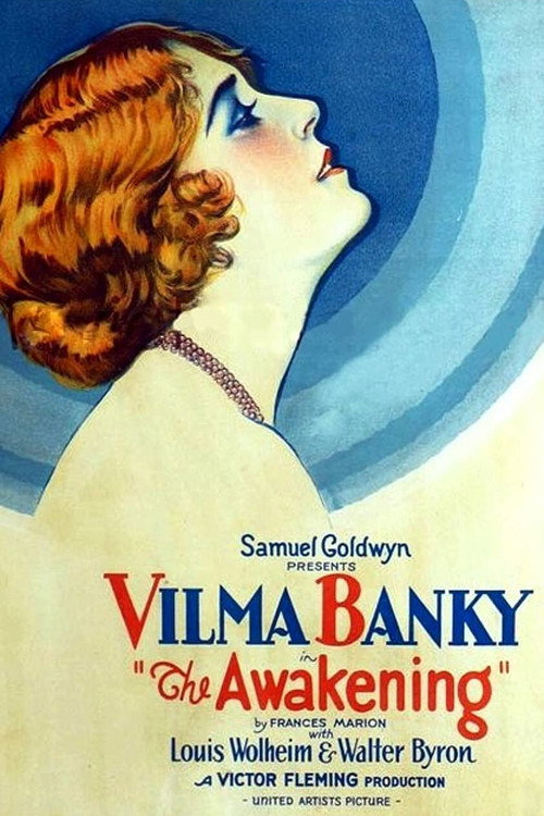 Movie poster for The Awakening (1928)