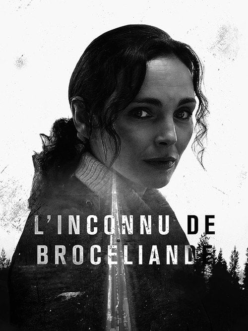 Movie poster for Murder in Brocéliande (2016)