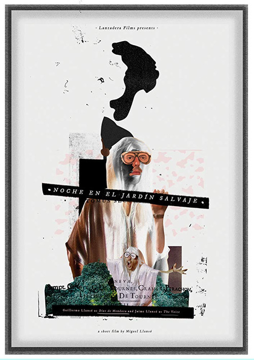 Movie poster for Night in the Wild Garden (2015)