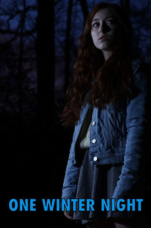 Movie poster for One Winter Night (2019)