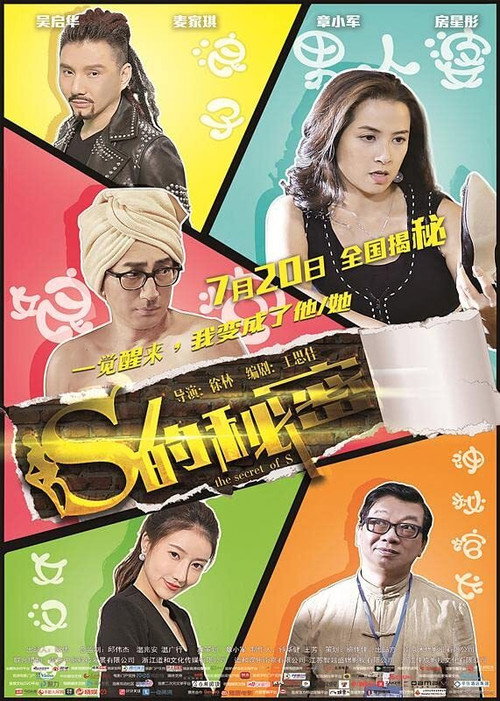 Movie poster for S的秘密 (2017)