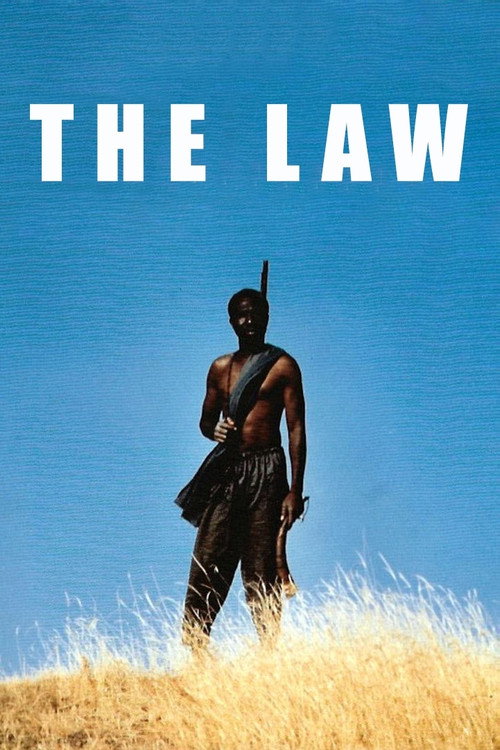 Movie poster for The Law (1990)