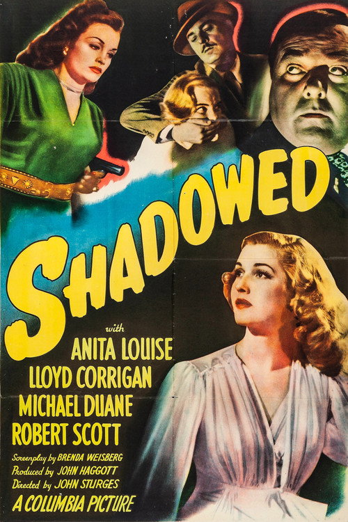 Movie poster for Shadowed (1946)