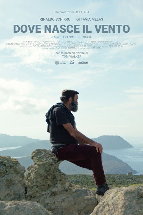 Movie poster for Dove nasce il vento (2021)