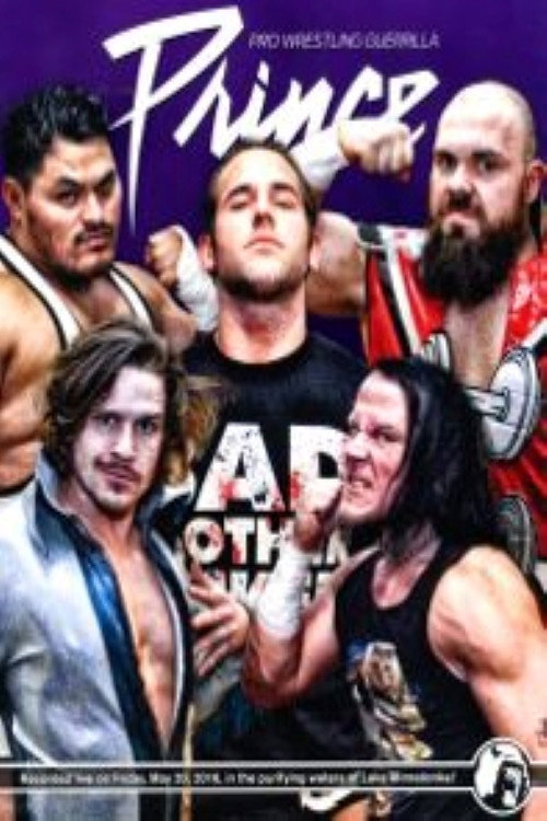 Movie poster for PWG: Prince (2016)