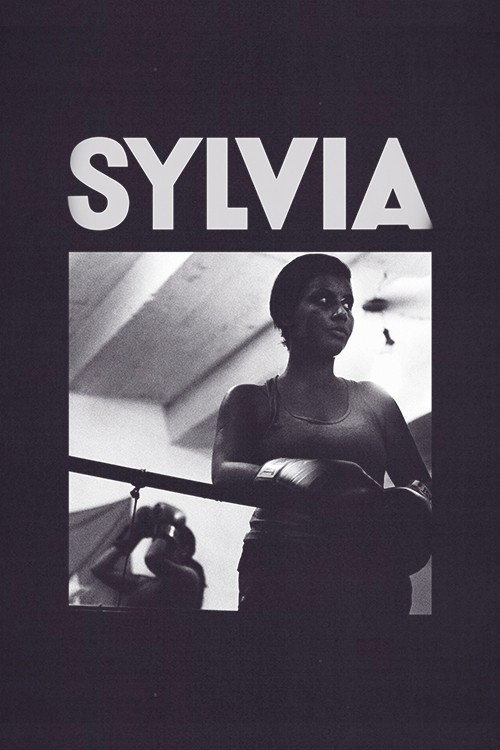 Movie poster for Sylvia (2013)