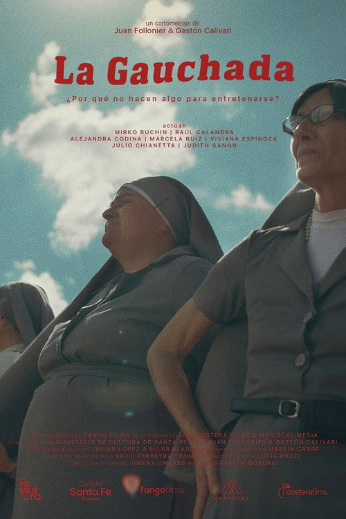 Movie poster for La gauchada (2024)
