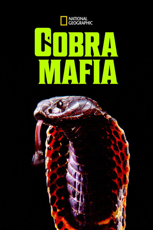 Movie poster for Cobra Mafia (2015)