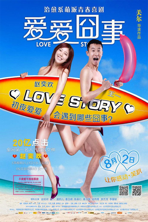 Movie poster for Love Story (2013)