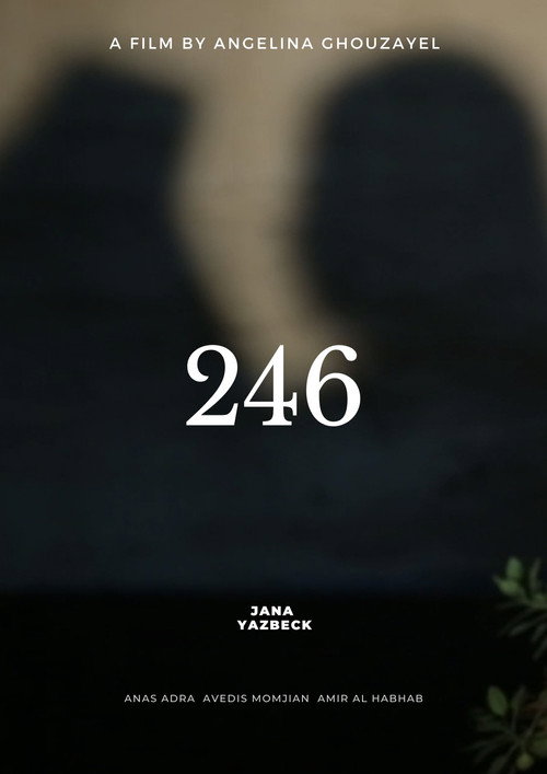 Movie poster for 246 (2024)
