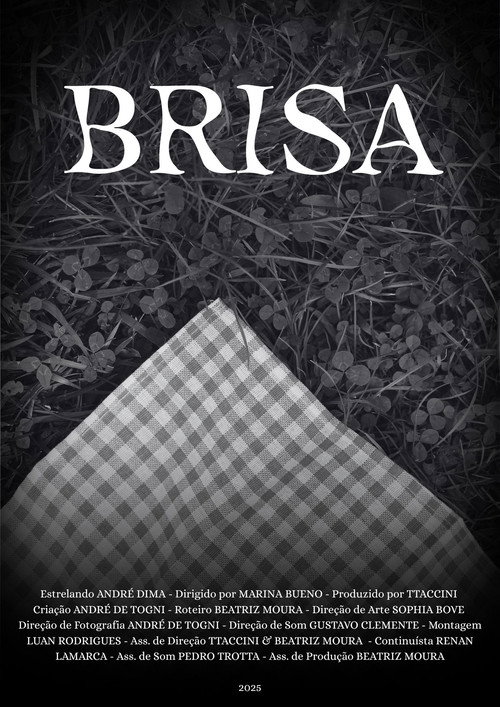 Movie poster for Brisa