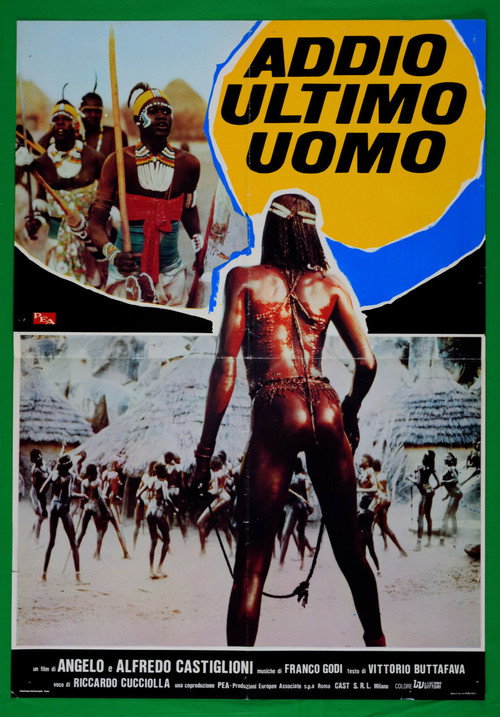 Movie poster for Farewell the Last Man (1978)