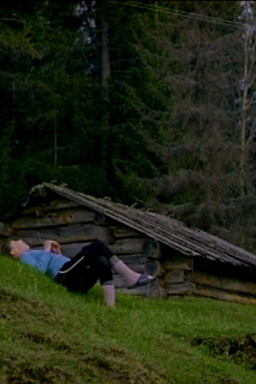 Movie poster for Sunny Day (2008)