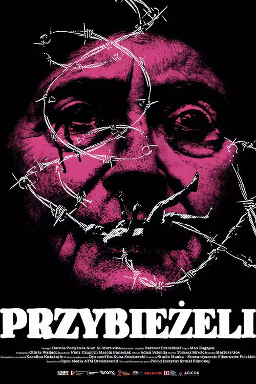 Movie poster for The Strangers Came (2024)