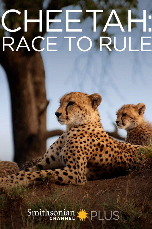 Movie poster for Cheetah: Race to Rule (2014)
