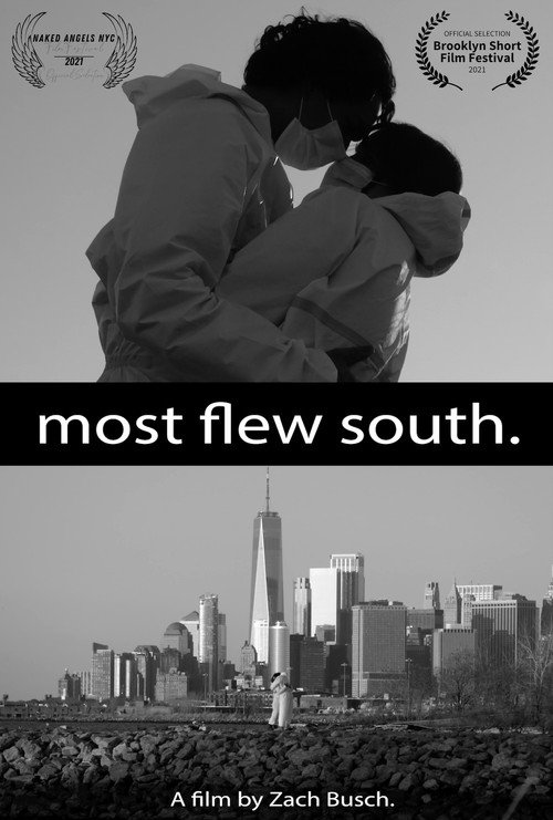 Movie poster for Most Flew South (2020)