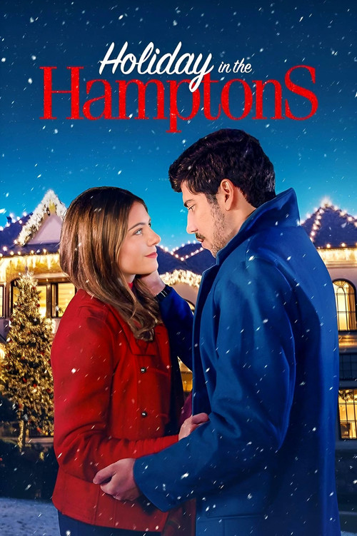 Movie poster for Holiday in the Hamptons (2024)