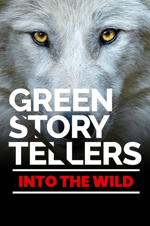 Series poster for Green Storytellers (2021)