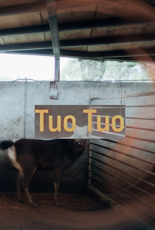 Movie poster for Tuo Tuo (2022)