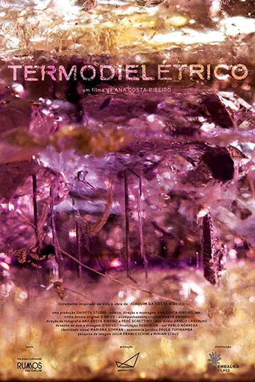 Movie poster for Thermodielectric (2023)