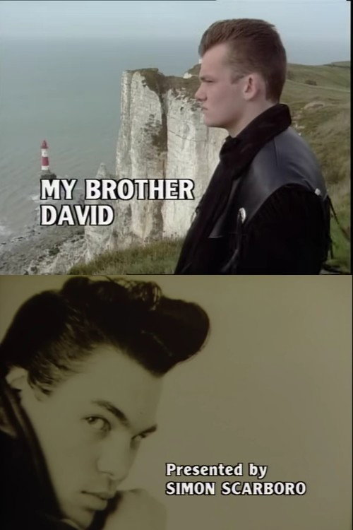 Movie poster for My Brother David (1989)