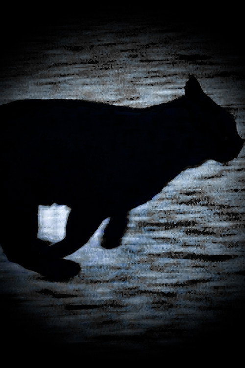 Movie poster for A Black Cat Escapes (2025)