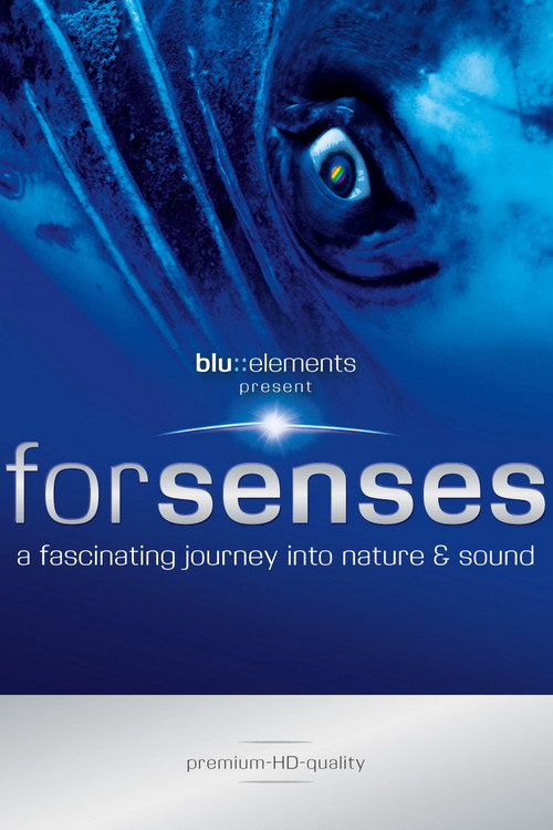 Movie poster for Forsenses - A Fascinating Journey into Nature & Sound (2009)